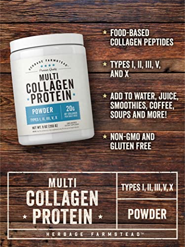 Carlyle Multi Collagen Protein Powder for Women and Men | 9 Oz | Type I, II, III, V, X | Premium Complex Supplement | Unflavored | Non-GMO and Gluten Free | by Herbage Farmstead